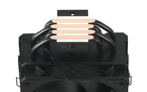 AMD & Intel compatibility